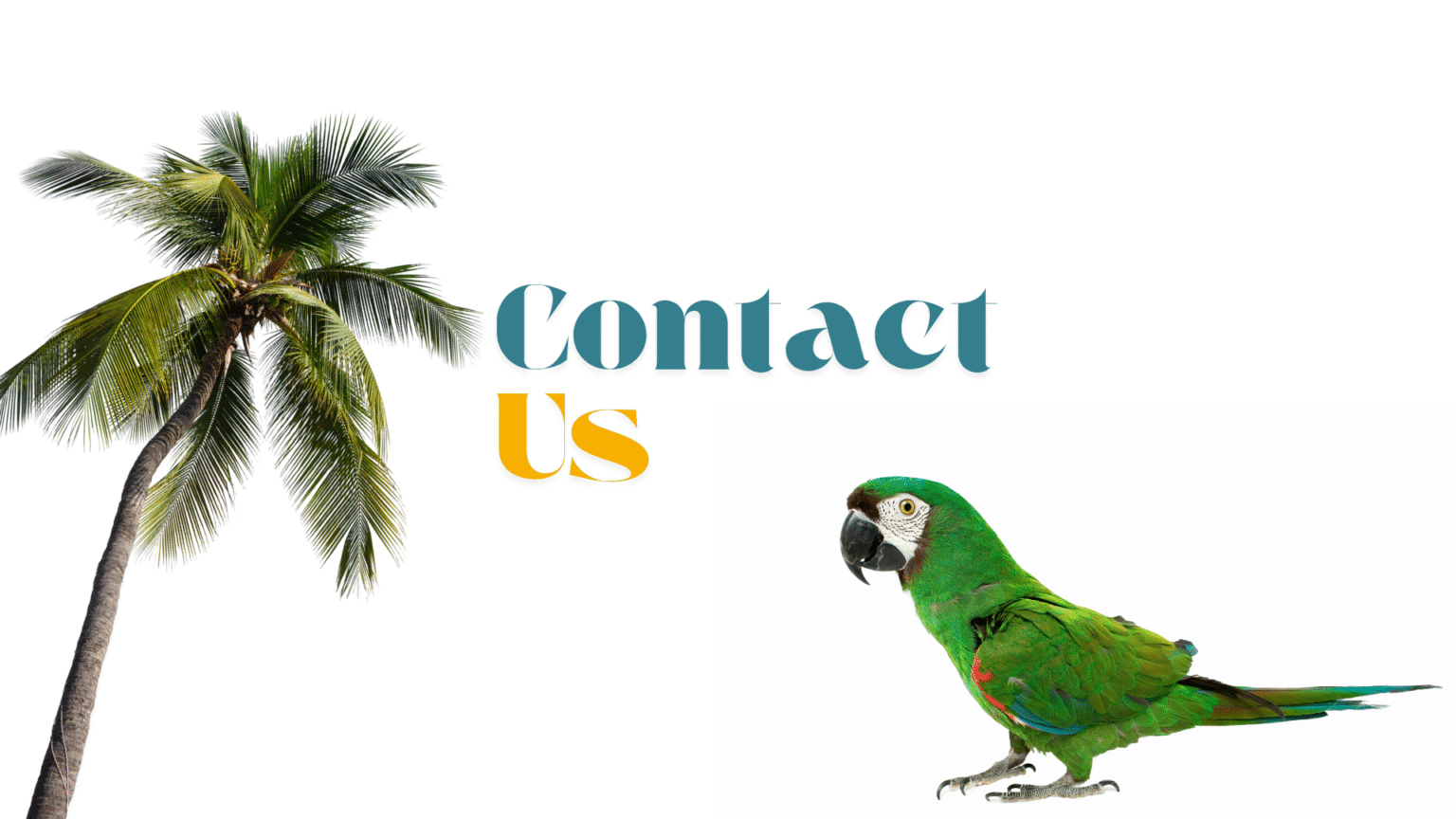 Isla Margarita Contact Us