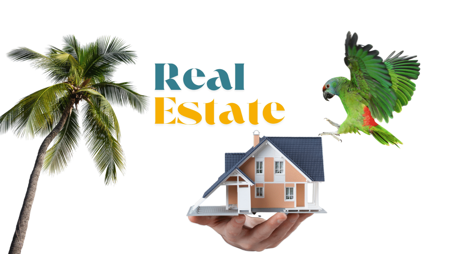 Isla Margarita Real Estate